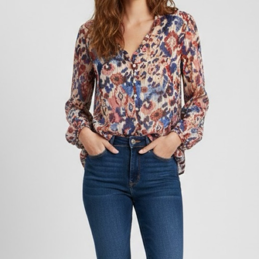 Zara Sheer Ruffle Floral Button Front Long Sleeve Blouse Small